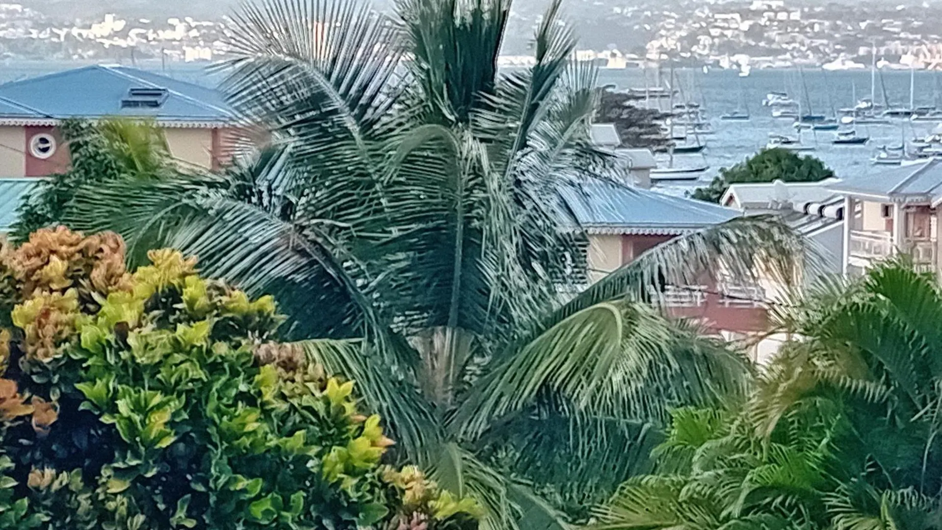 Appartement Studio Vue Mer Les Trois-Ilets